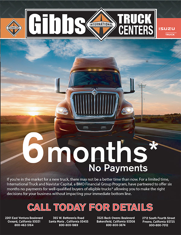 6 Months No Payments Flyer Ad